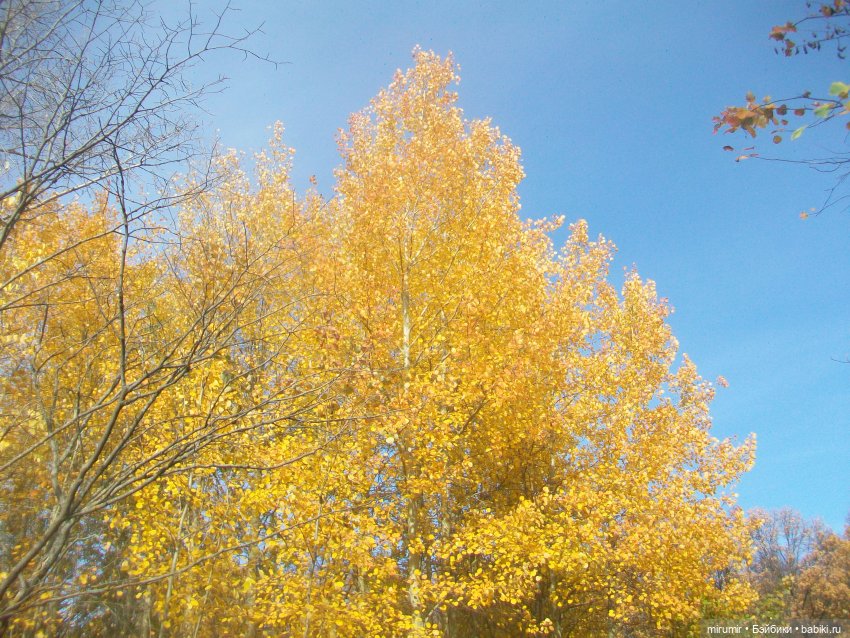 Прогулка в парке — Туризм и путешествия: фотоотчеты из поездок