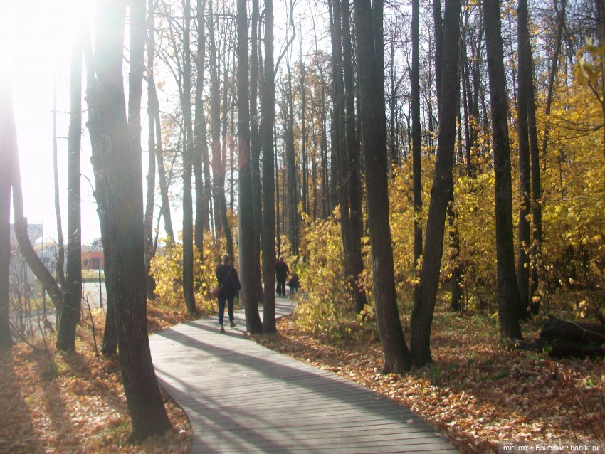 Прогулка в парке — Туризм и путешествия: фотоотчеты из поездок (фото 3)