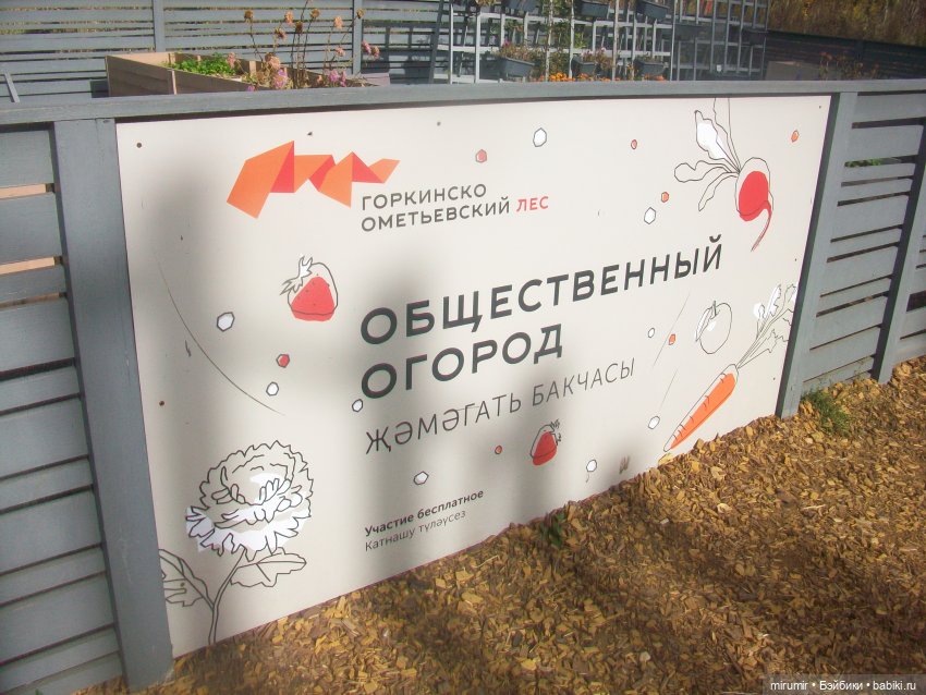 Прогулка в парке — Туризм и путешествия: фотоотчеты из поездок