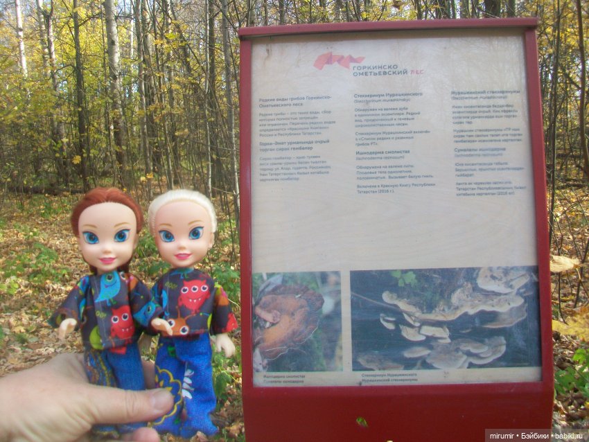 Прогулка в парке — Туризм и путешествия: фотоотчеты из поездок