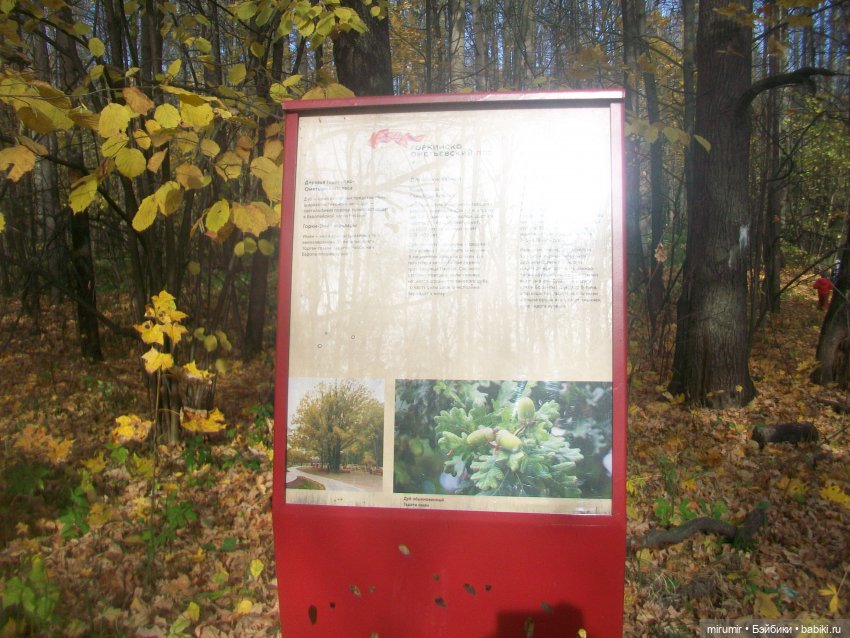 Прогулка в парке — Туризм и путешествия: фотоотчеты из поездок