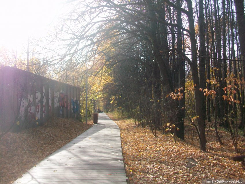 Прогулка в парке — Туризм и путешествия: фотоотчеты из поездок (фото 5)