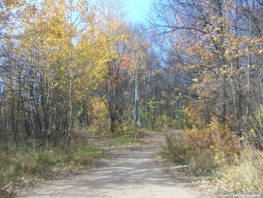 Прогулка в парке — Туризм и путешествия: фотоотчеты из поездок (фото 9)