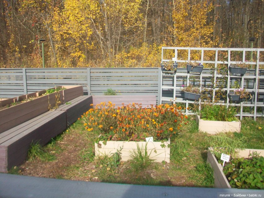 Прогулка в парке — Туризм и путешествия: фотоотчеты из поездок