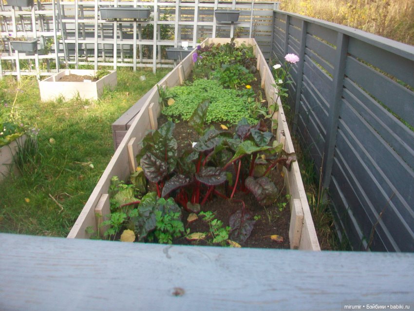 Прогулка в парке — Туризм и путешествия: фотоотчеты из поездок