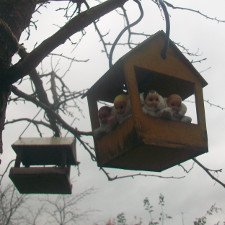 Поездка на дачу и новые одежки