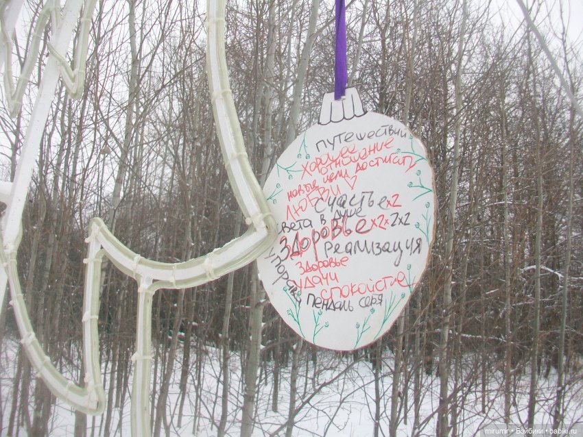 Прогулка в парке под названием ЛЕС