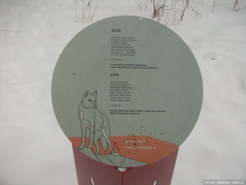 Прогулка в парке под названием ЛЕС (фото 6)