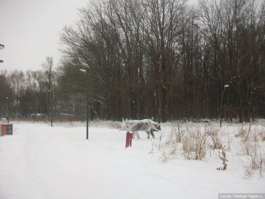 Прогулка в парке под названием ЛЕС