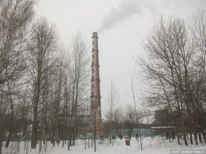 Прогулка в парке под названием ЛЕС (фото 4)