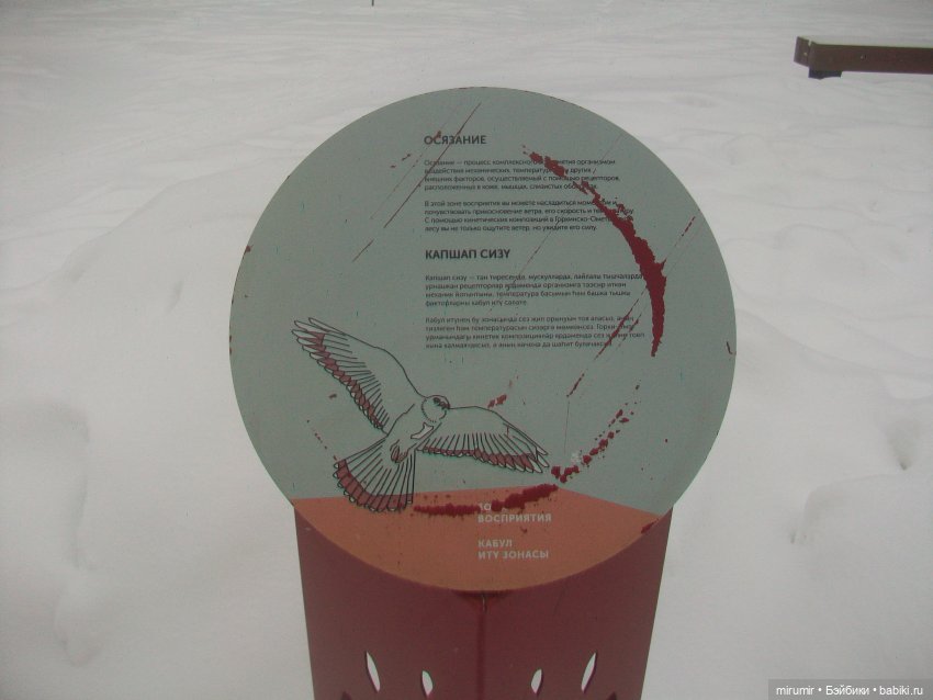 Прогулка в парке под названием ЛЕС (фото 9)