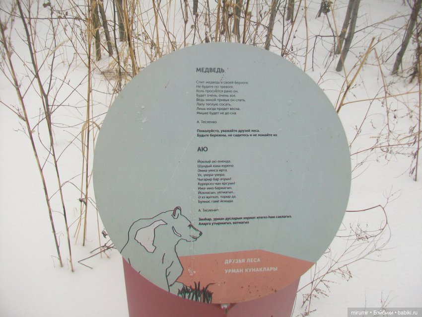 Прогулка в парке под названием ЛЕС