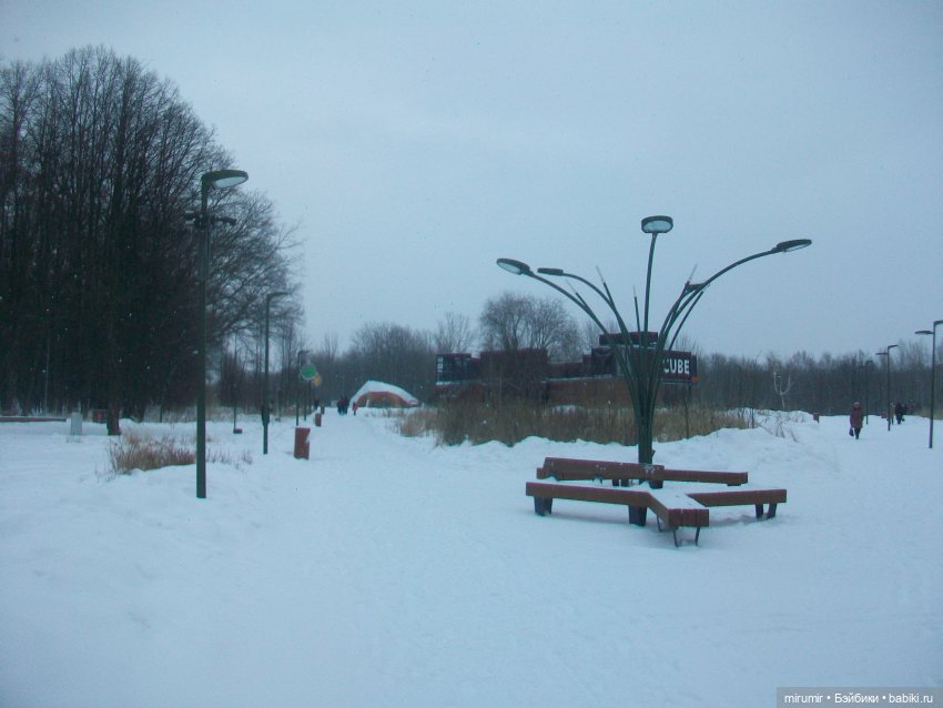 Прогулка в парке под названием ЛЕС