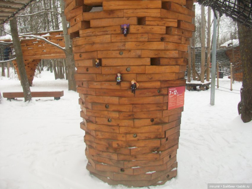 Прогулка в парке под названием ЛЕС