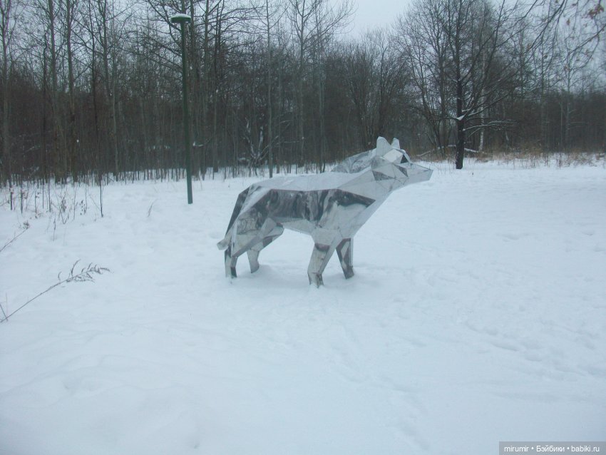 Прогулка в парке под названием ЛЕС (фото 5)