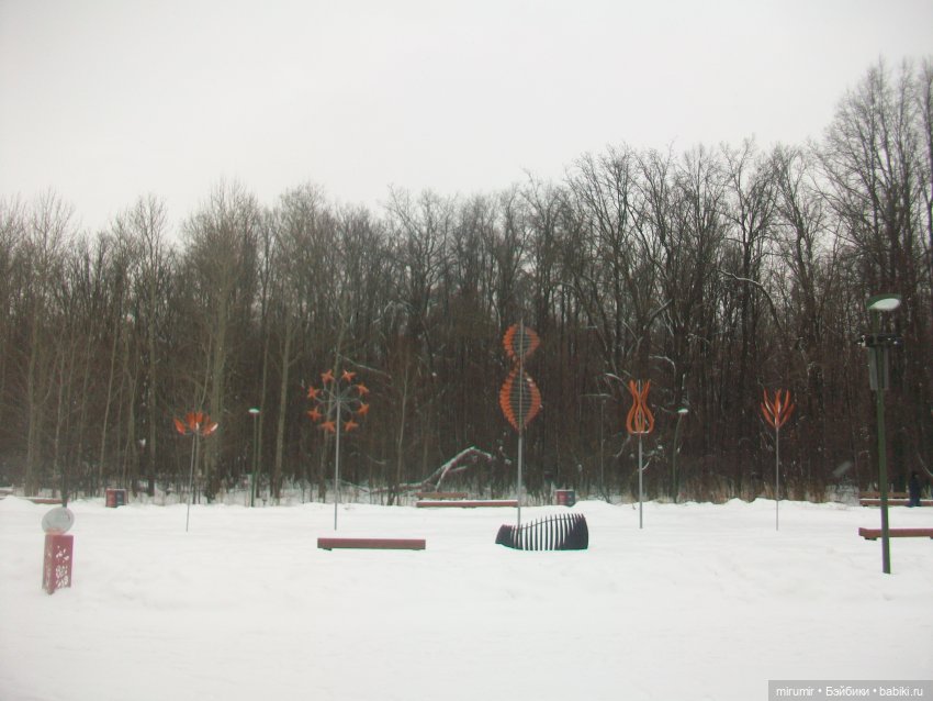 Прогулка в парке под названием ЛЕС (фото 8)