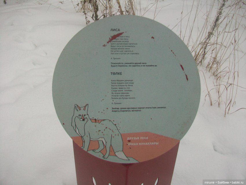 Прогулка в парке под названием ЛЕС