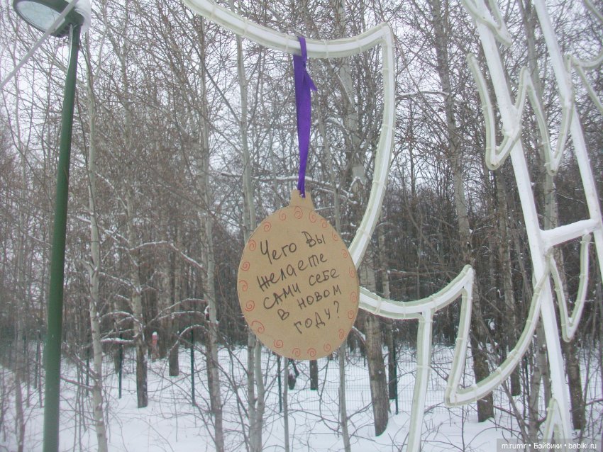 Прогулка в парке под названием ЛЕС