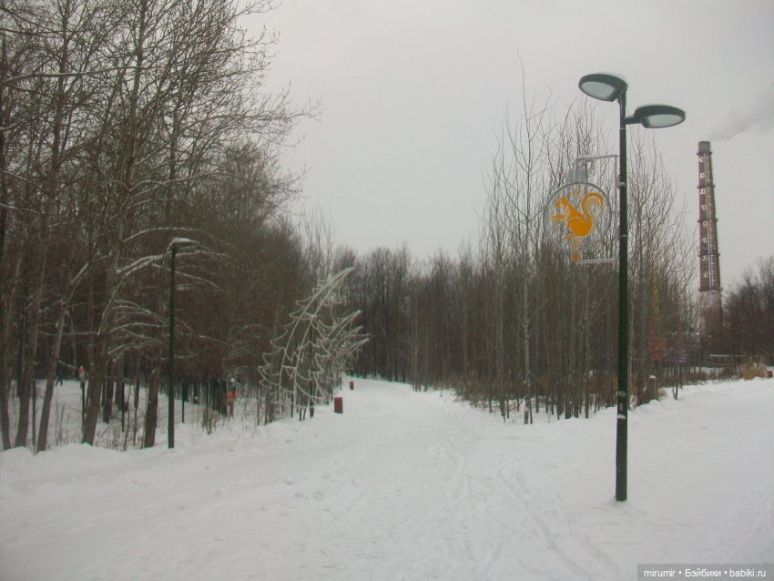 Прогулка в парке под названием ЛЕС (фото 3)