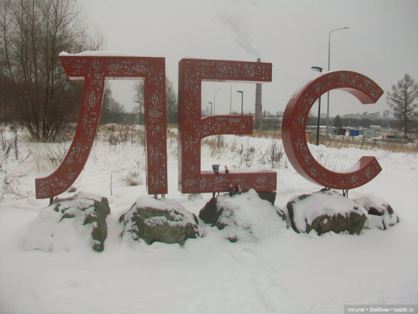 Прогулка в парке под названием ЛЕС