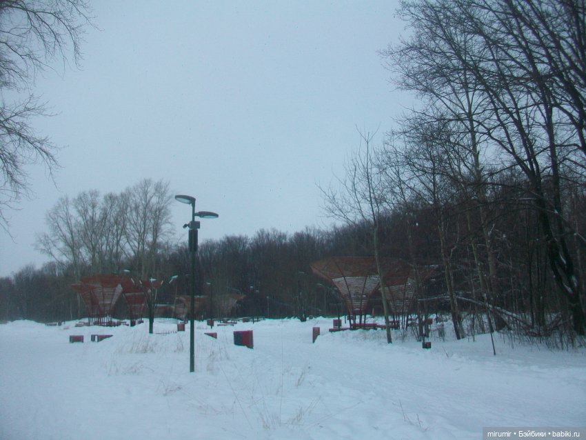 Прогулка в парке под названием ЛЕС (фото 10)