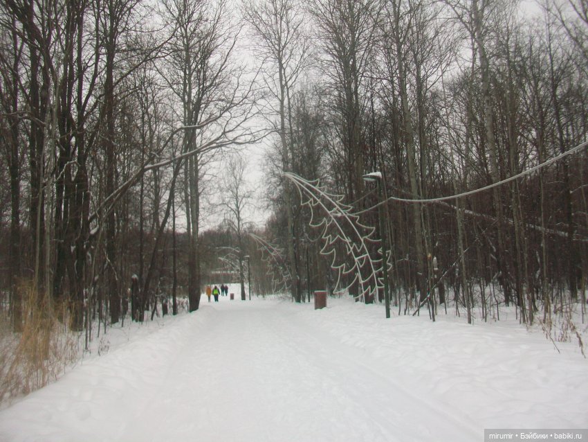 Прогулка в парке под названием ЛЕС