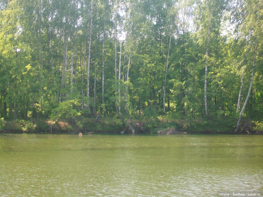 Дачные истории - 1 — Другие мини