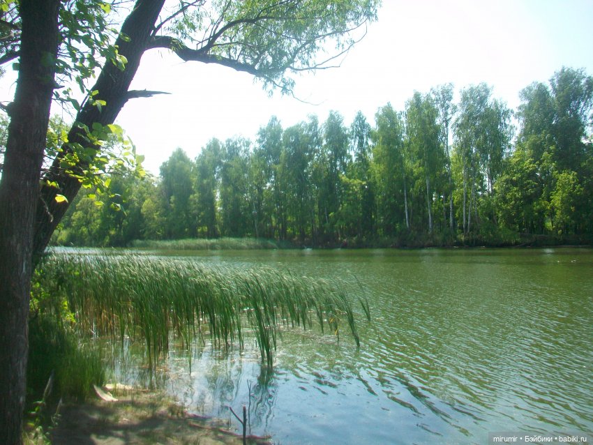 Дачные истории - 1 — Другие мини (фото 5)