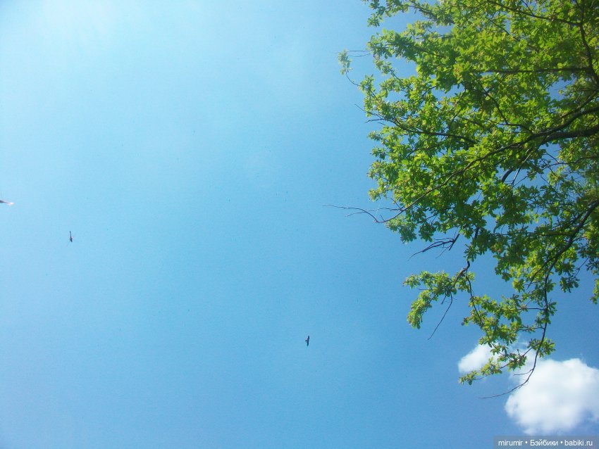 Дачные истории - 1 — Другие мини