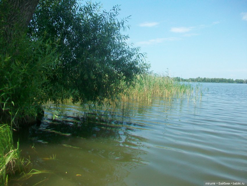 Дачные истории - 2 — Другие мини (фото 8)