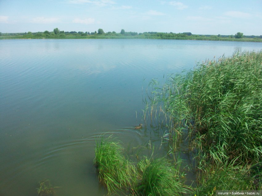 Дачные истории - 2 — Другие мини (фото 2)