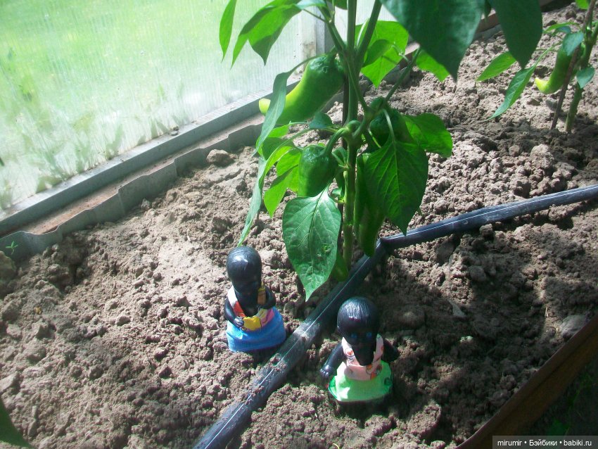 Дачные истории - 2 — Другие мини