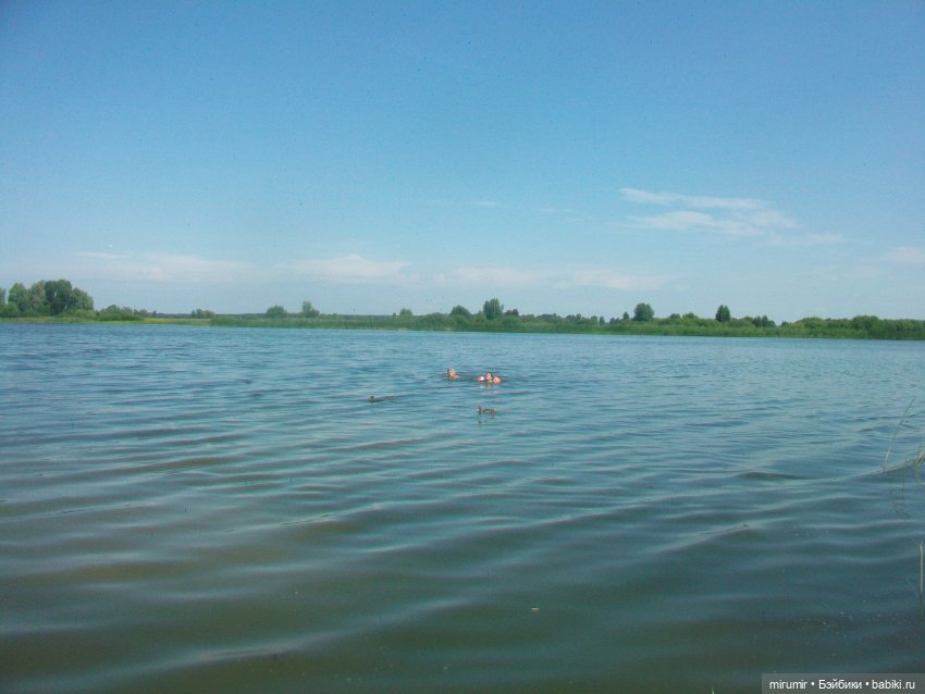 Дачные истории - 2 — Другие мини (фото 4)