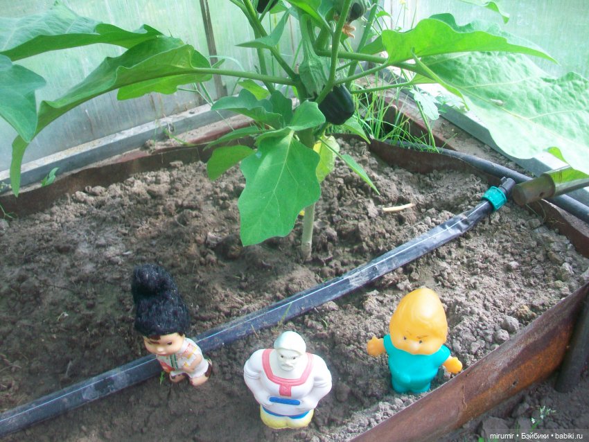 Дачные истории - 2 — Другие мини