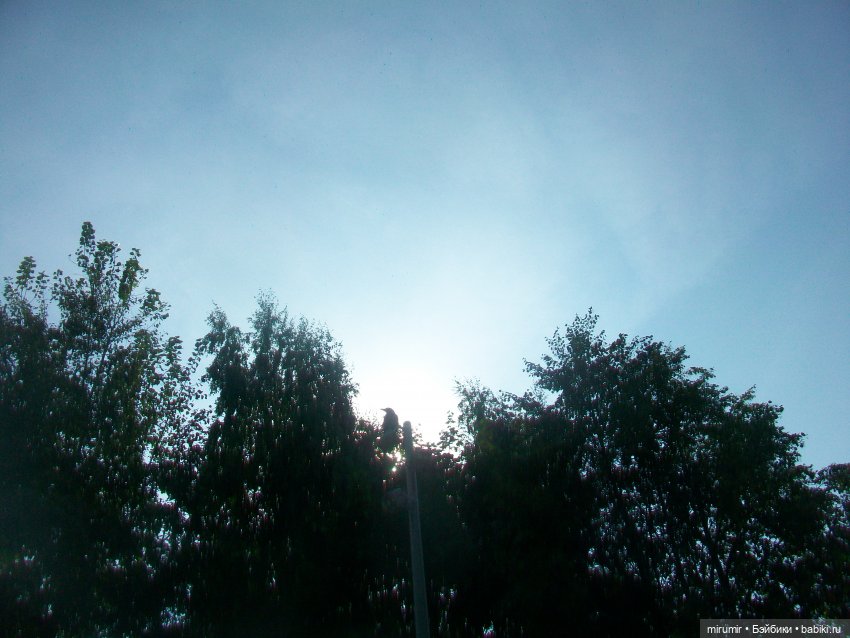 Прогулка на бульвар - 2 — Игровые куклы разных производителей (Разное): редкие бренды (фото 10)