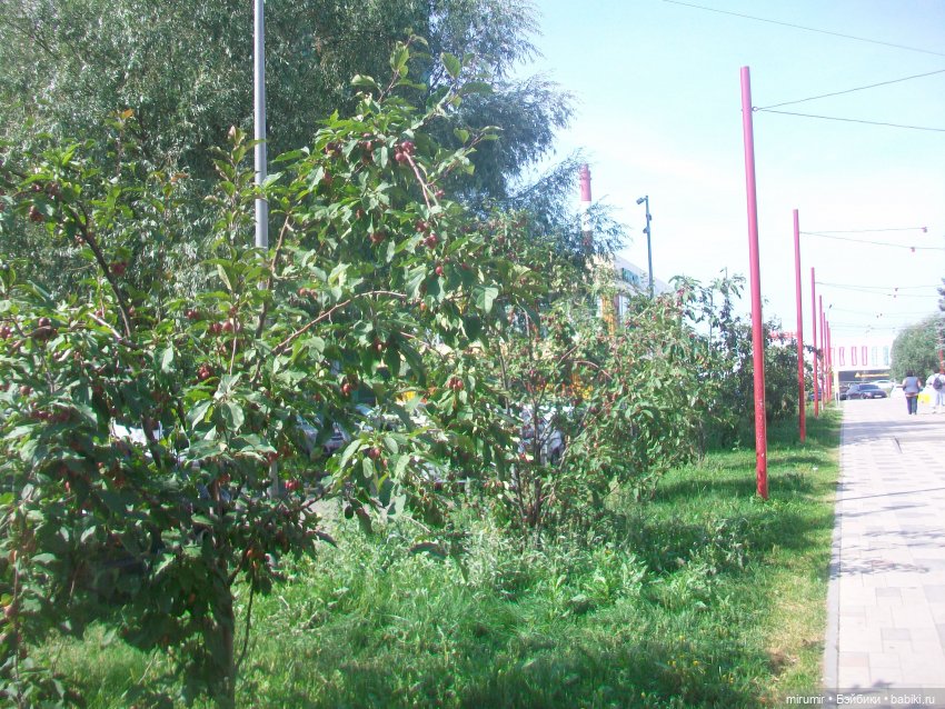 Прогулка на бульвар - 2 — Игровые куклы разных производителей (Разное): редкие бренды