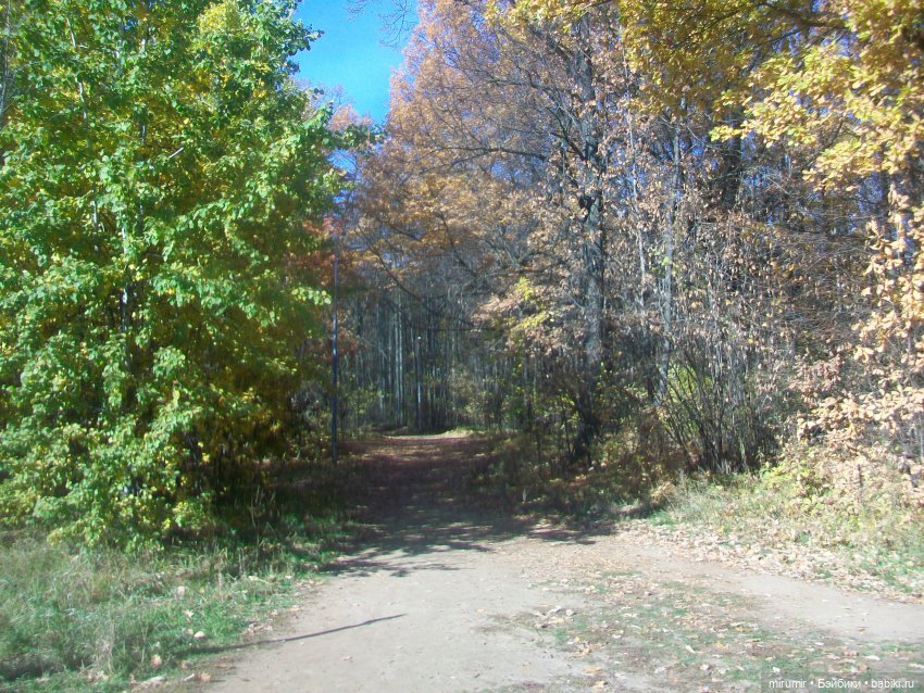 Испачканный пастой найденыш - 2