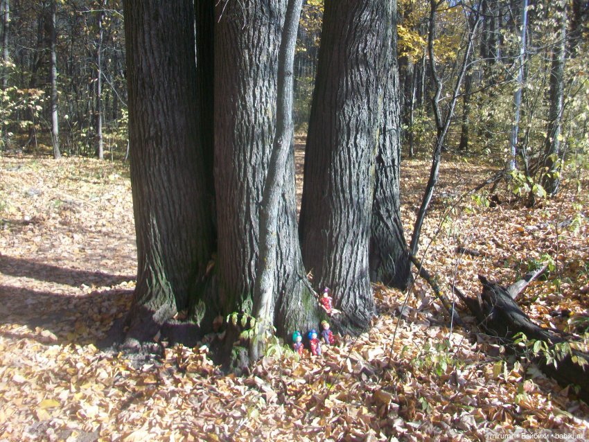 Испачканный пастой найденыш - 2