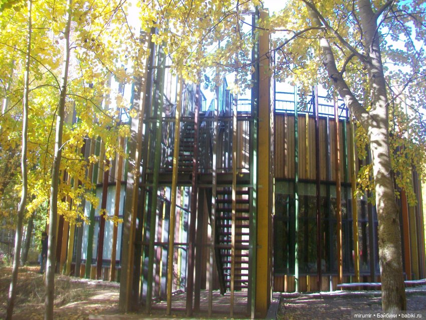 Испачканный пастой найденыш - 2