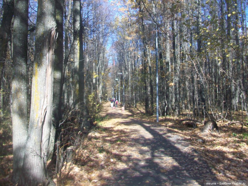 Испачканный пастой найденыш - 2