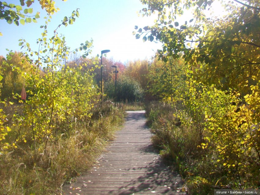 Испачканный пастой найденыш - 2