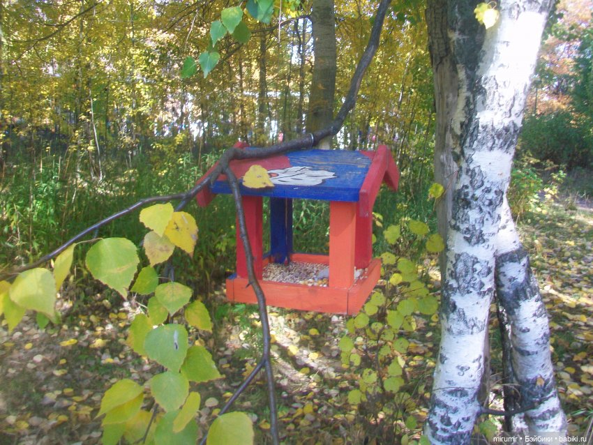 Испачканный пастой найденыш - 2