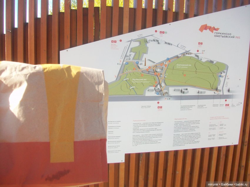 Испачканный пастой найденыш - 2 (фото 5)