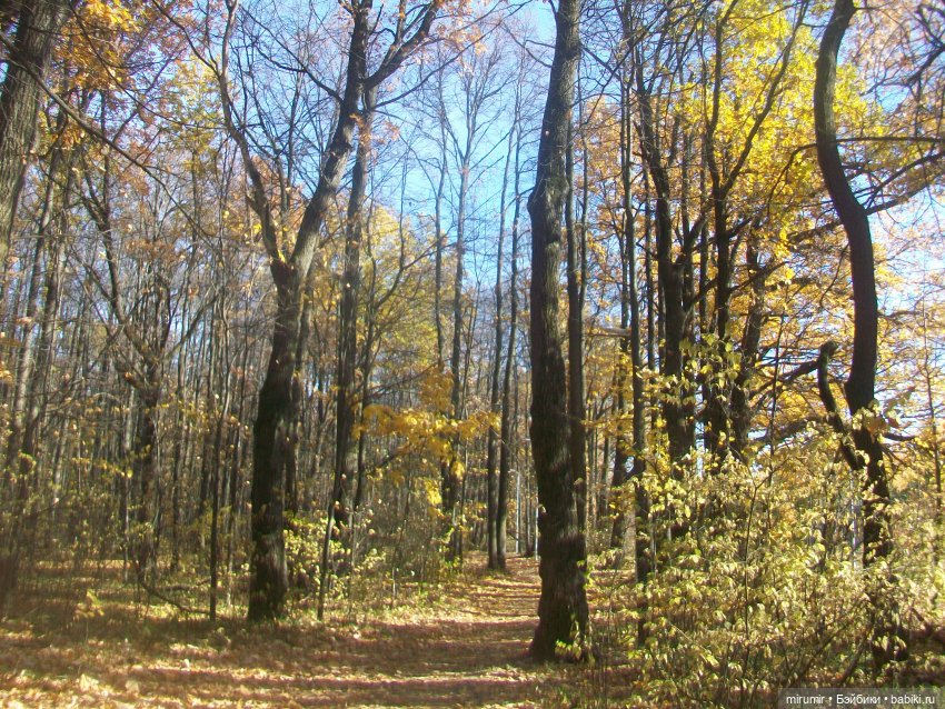 Испачканный пастой найденыш - 2