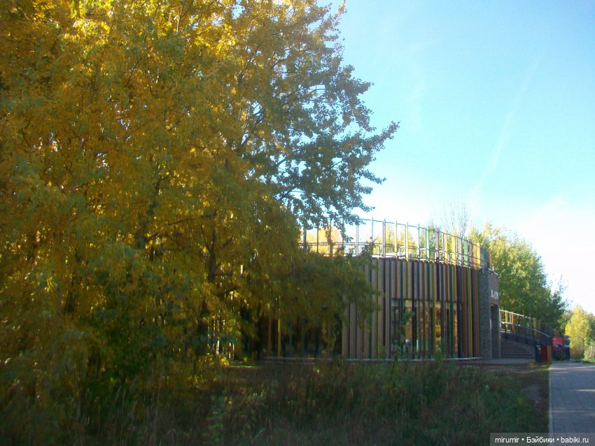 Испачканный пастой найденыш - 2