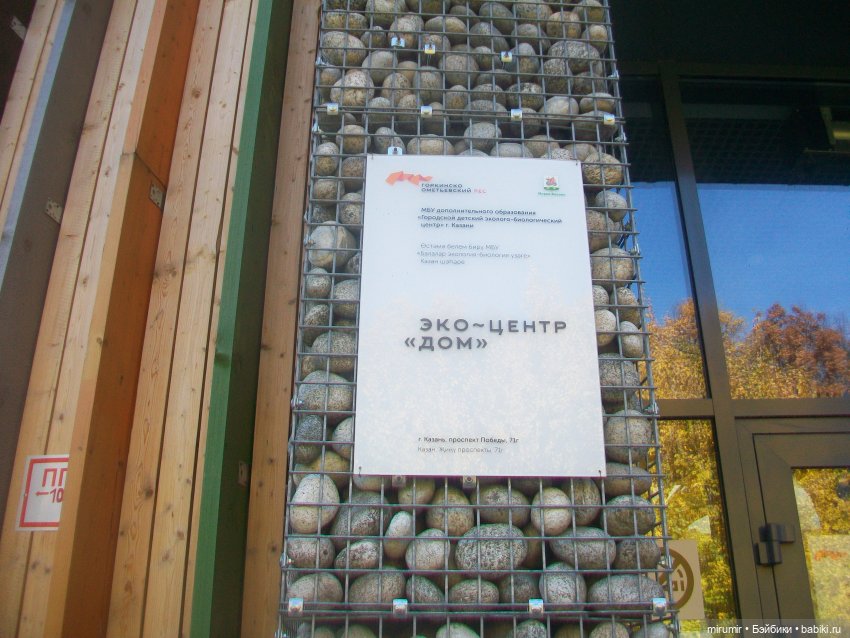 Испачканный пастой найденыш - 2