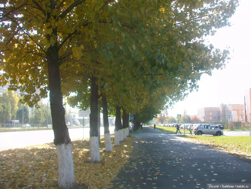 Испачканный пастой найденыш - 2 (фото 4)