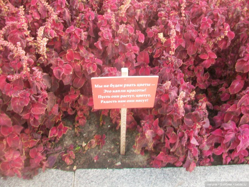 Мои кукляшки и музеи - 2 — Игровые куклы разных производителей (Разное): редкие бренды