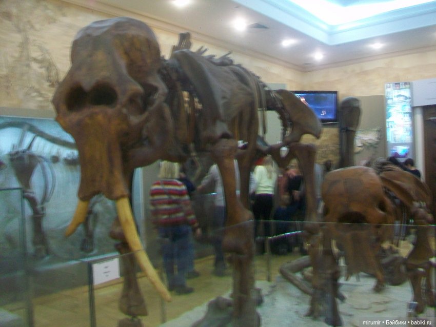 Мои кукляшки и музеи - 2 — Игровые куклы разных производителей (Разное): редкие бренды (фото 10)