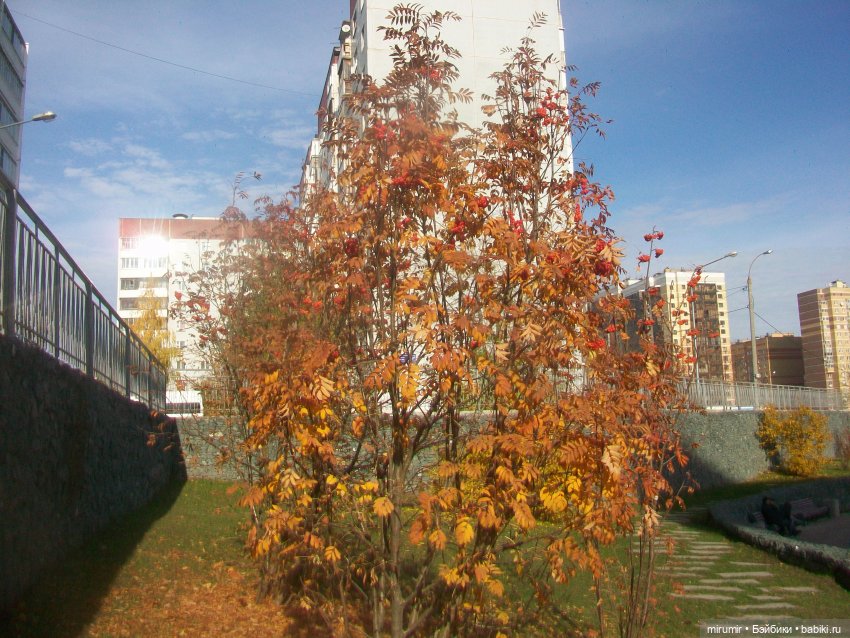 Осенние прогулки — Игровые куклы разных производителей (Разное): редкие бренды (фото 2)